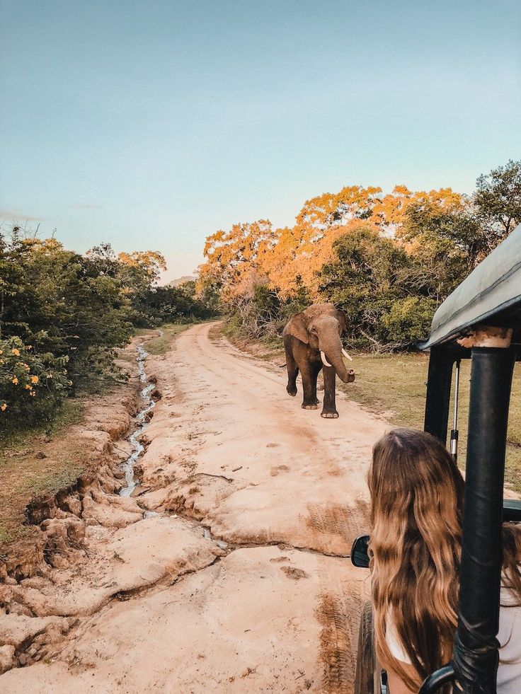 Yala National Park