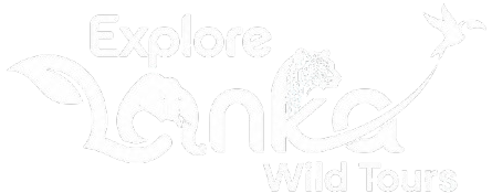 Explore Lanka Wild Tours logo