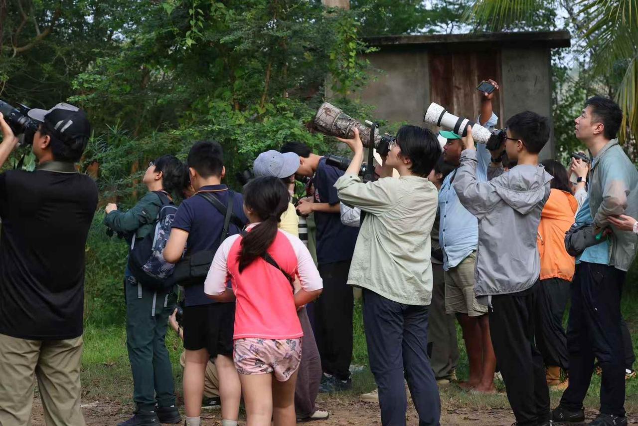 Birders in the wetlands