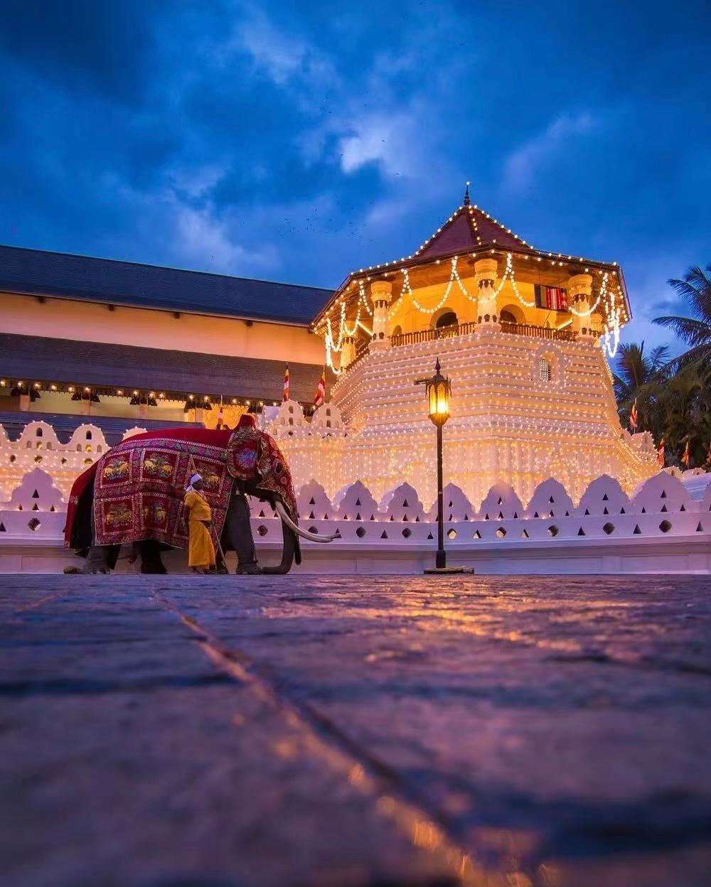 Temple of the Tooth illuminated at dusk with a ceremonial elephant