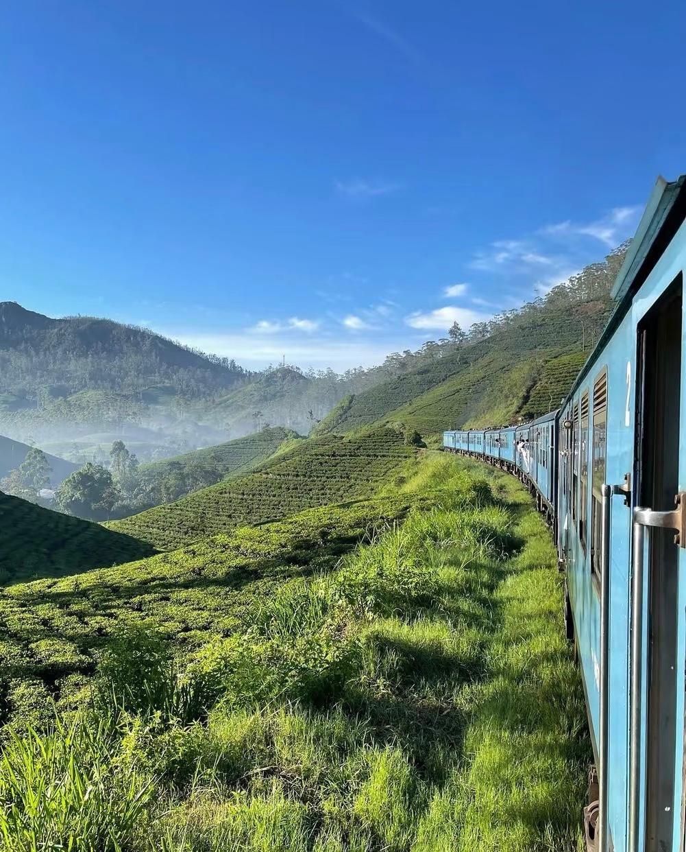 Hill country train winding through tea estates