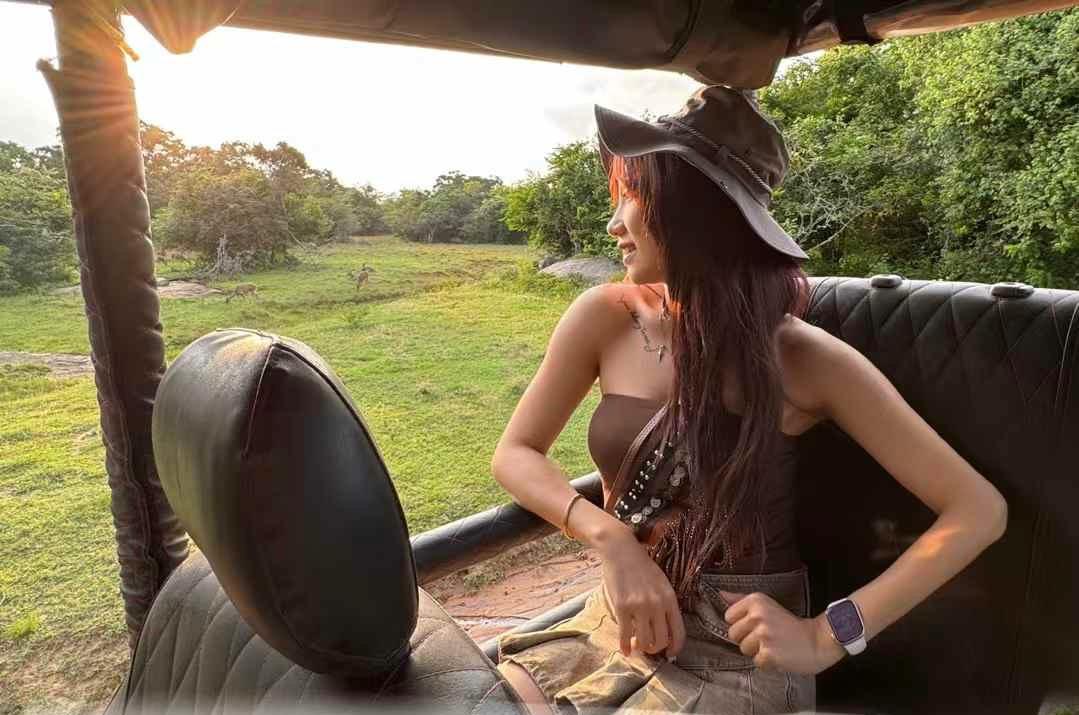 Guest watching deer from the back of a safari jeep at sunset