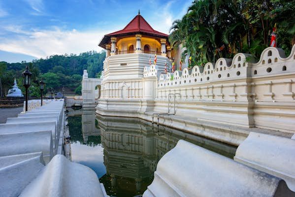 Essence of Ceylon