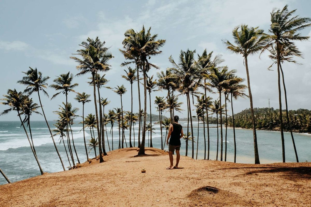 Traveller walking among tall palm trees on Coconut Tree Hill, Mirissa